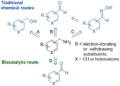 Characterization of a Putrescine Transaminase From Pseudomonas putida and its Application to the Synthesis of Benzylamine Derivatives